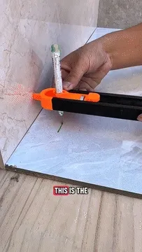 gif.mp4 [video-to-gif output image]